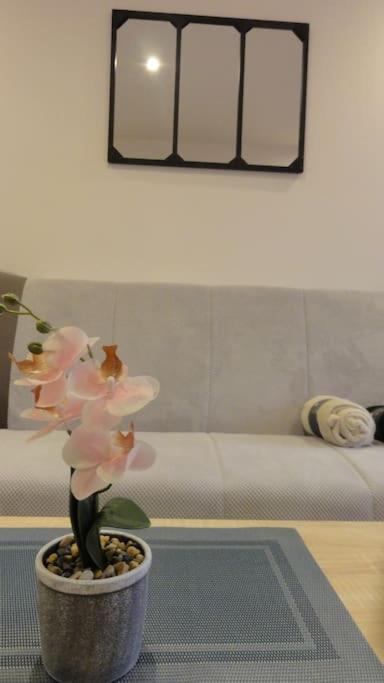 Le Belvedere Dernier Etage Avec Terrasse Wifi Fibre Lägenhet Tarbes Exteriör bild